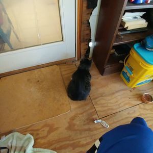 Meet your Posher, Ronald